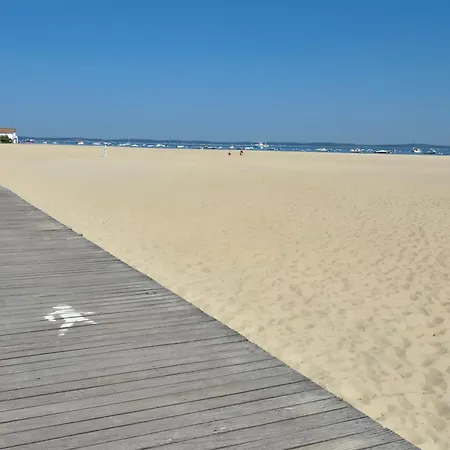 Le B - A 200 M De La Lägenhet