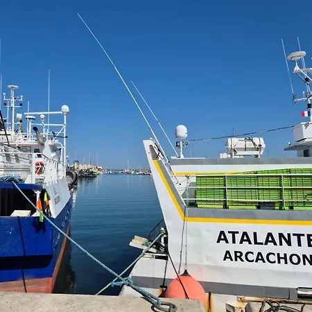 Le B - A 200 M De La Apartamento Arcachón