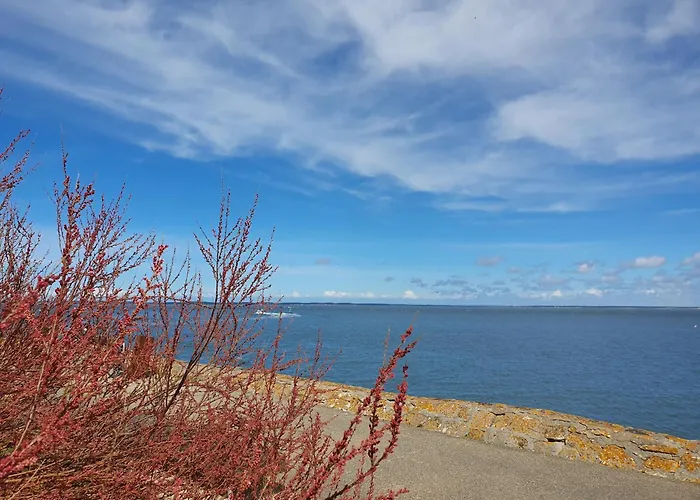 Le B - A 200 M De La Lejlighed Arcachon