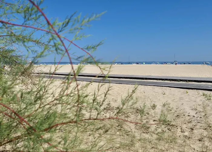 Le B - A 200 M De La Apartment Arcachon