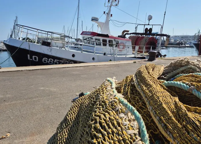 Le B - A 200 M De La Lejlighed Arcachon